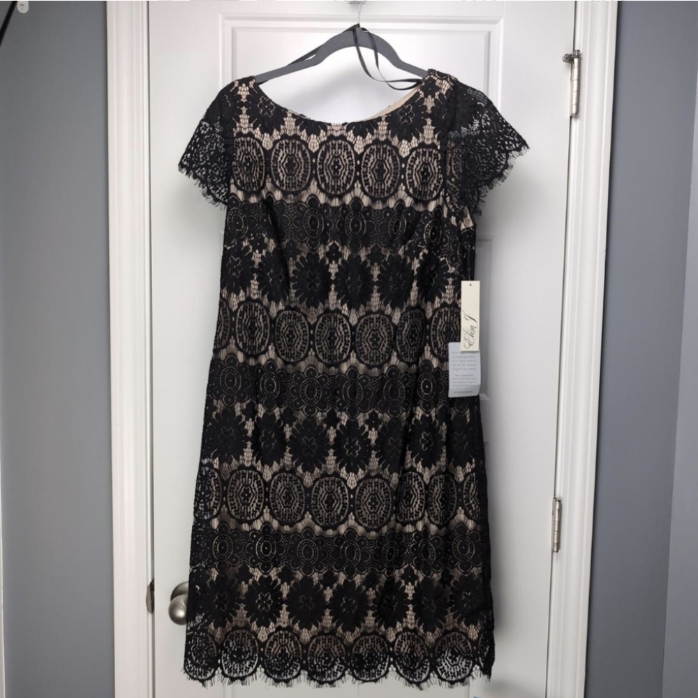 Eliza J lace fringe dress NWT